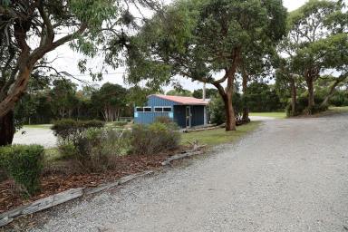 Hotel/Leisure For Sale - TAS - Arthur River - 7330 - Ideal Lifestyle Change! Arthur River Caravan &Cabin Park  (Image 2)