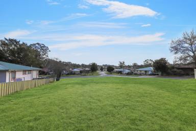 Residential Block For Sale - NSW - Tumut - 2720 - Building Block  (Image 2)