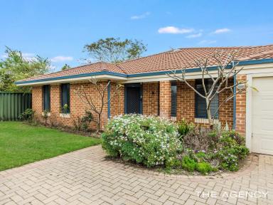 House For Sale - WA - Port Kennedy - 6172 - Spacious family home with a pool on a large 733sqm block  (Image 2)