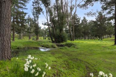 Residential Block For Sale - WA - Nannup - 6275 - PICTURESQUE & CONVENIENT LOCATION  (Image 2)