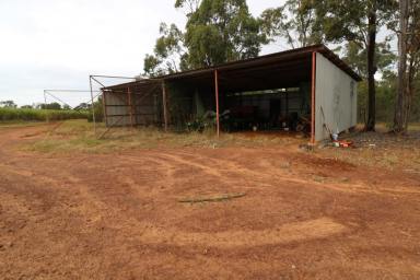 Horticulture For Sale - QLD - Redridge - 4660 - 109 ACRES OF CULTIVATION  (Image 2)