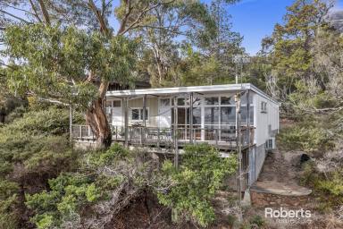 House For Sale - TAS - Coles Bay - 7215 - Is This Tassie's Best Backyard?  (Image 2)