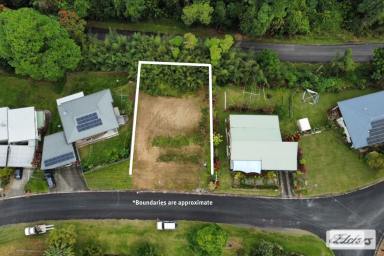 Residential Block Sold - QLD - Tully - 4854 - Looking for cheap land, 2 mins to Town??  (Image 2)