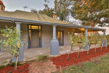 House For Sale - VIC - Merbein - 3505 - Character filled & sure to impress!  (Image 2)
