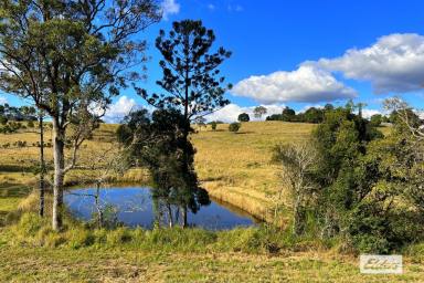 Residential Block For Sale - QLD - Chatsworth - 4570 - 1.25acs Big Dam & VIEWS!  (Image 2)