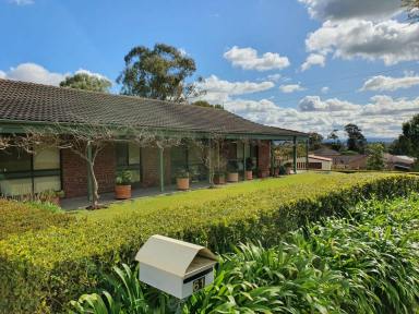 House For Sale - NSW - Muswellbrook - 2333 - A SUNNY CONCOURSE GAZES OUT TO HORIZON VIEWS ,THIS
FOUR (4X) B/r WITH ABUNDANCE OF SPACE AND VERANDAHS RIGHT ROUND.  (Image 2)