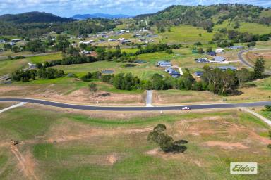 Residential Block For Sale - QLD - Chatsworth - 4570 - 1 acre VIEWS VIEWS!  (Image 2)