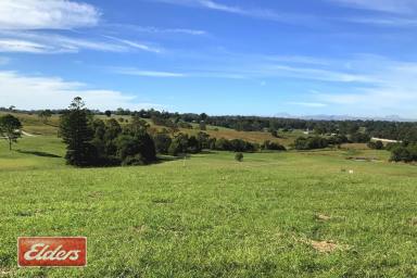 Residential Block For Sale - QLD - Chatsworth - 4570 - Tree Lined Creek and Views!  (Image 2)
