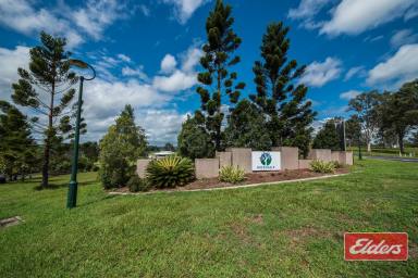 Residential Block For Sale - QLD - Pie Creek - 4570 - Near Level Land!  (Image 2)