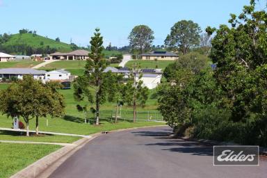 Residential Block For Sale - QLD - Pie Creek - 4570 - PERFECT!!  (Image 2)