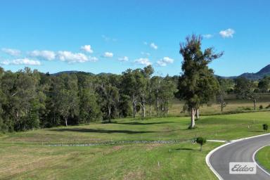 Residential Block For Sale - QLD - Pie Creek - 4570 - UNDER CONTRACT!  High Quality Acreage!  (Image 2)