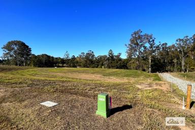 Residential Block For Sale - QLD - Pie Creek - 4570 - UNDER CONTRACT. EXCELLENT LAND!  (Image 2)
