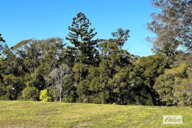 Residential Block For Sale - QLD - Pie Creek - 4570 - UNDER CONTRACT. EXCELLENT LAND!  (Image 2)