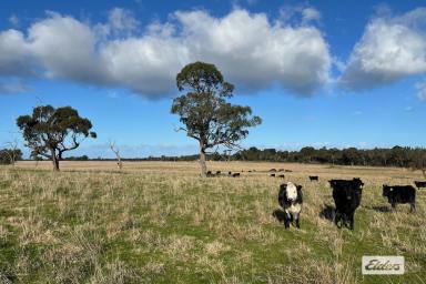 Other (Rural) For Sale - VIC - Longford - 3851 - 10 ACRES  (Image 2)
