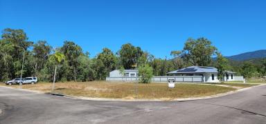 Residential Block For Sale - QLD - Cardwell - 4849 - Enjoy the sea breeze from this large beachside vacant block just minutes from the beach  (Image 2)