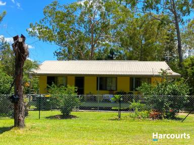 House Leased - QLD - Apple Tree Creek - 4660 - Easy Access to Highway - NBN Ready - With Solar  (Image 2)