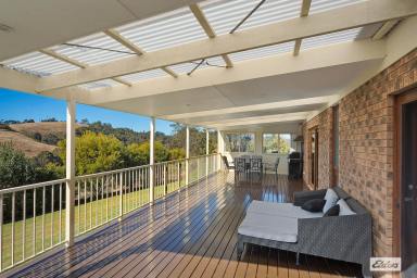 House For Sale - NSW - Buckajo - 2550 - SUSTAINABLE LIFESTYLE  (Image 2)