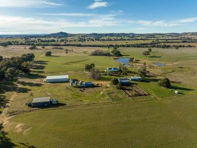 Cropping Auction - NSW - Big Springs - 2650 - Turnkey property of Big Springs!  (Image 2)