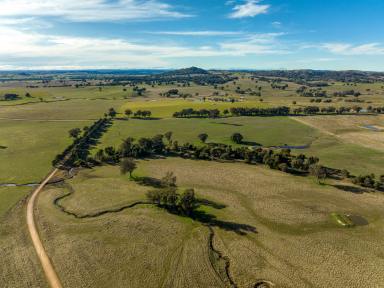 Cropping Auction - NSW - Big Springs - 2650 - Turnkey property of Big Springs!  (Image 2)