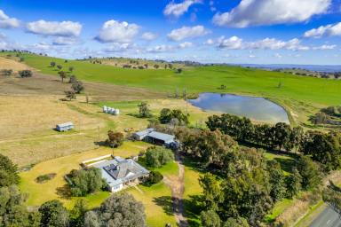 Other (Rural) Auction - NSW - Darbys Falls - 2793 - 782AC* STRONG RED FARMING & GRANITE GRAZING COUNTRY  (Image 2)