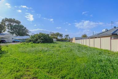 Residential Block For Sale - WA - Midvale - 6056 - 870 m2 VACANT LOT  (Image 2)