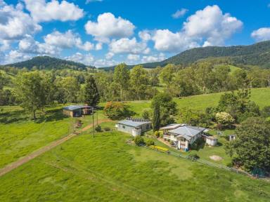Livestock For Sale - QLD - Langshaw - 4570 - MOUNTAIN VALE  (Image 2)