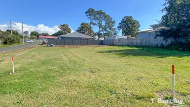 Residential Block For Sale - QLD - Russell Island - 4184 - Level and Clear Town Block  (Image 2)