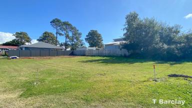 Residential Block For Sale - QLD - Russell Island - 4184 - Level and Clear Town Block  (Image 2)