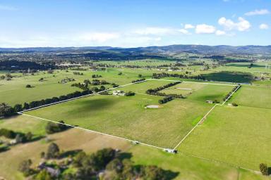 Acreage/Semi-rural For Sale - VIC - Hazelwood North - 3840 - 50 Acre Farming, Ideal setup, Complete package   (Image 2)