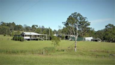 Acreage/Semi-rural Sold - NSW - Krambach - 2429 - Energy Efficient House on 65 Acres Set up for Horses and Cattle  (Image 2)