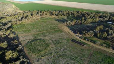 Residential Block For Sale - NSW - Moree - 2400 - "Milray Pocket" Building Blocks On Mehi River  (Image 2)