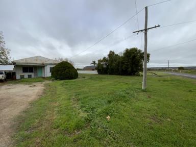 Viticulture For Sale - NSW - Bilbul - 2680 - BUILD A DREAM HOME ON ACREAGE MINUTES FROM TOWN  (Image 2)