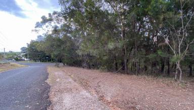 Residential Block For Sale - QLD - Russell Island - 4184 - Walking Distance From Waterfront And Council Park  (Image 2)