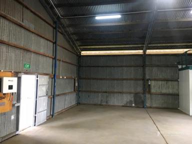 Industrial/Warehouse For Lease - QLD - Dalby - 4405 - WELL MAINTEAINED SHED AVAILABLE TO LEASE NOW  (Image 2)