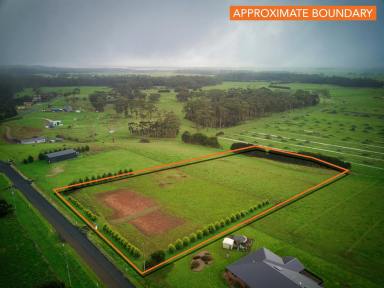 Residential Block For Sale - TAS - Forest - 7330 - Rare 2.7 acre block located in prime A1 location!  (Image 2)