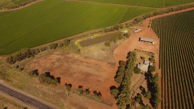 Viticulture Sold - NSW - Hanwood - 2680 - GREAT LOCATION, GENEROUS HOLDING WITH A YOUNG VINEYARD & BROAD ACRE CROPPING  (Image 2)