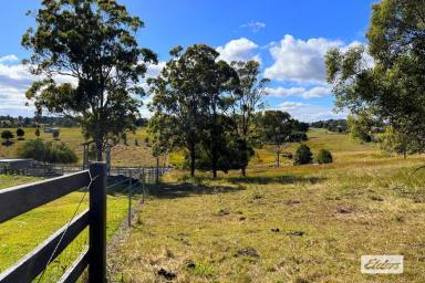 Residential Block Sold - QLD - East Deep Creek - 4570 - Rare East Side 5 Acre Property!  (Image 2)