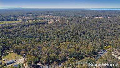 Residential Block For Sale - NSW - Tomerong - 2540 - 11.5 acre dream property awaits!  (Image 2)