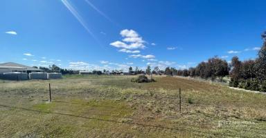 Residential Block For Sale - QLD - Dalby - 4405 - DREAM THE DREAM - ACREAGE LIVING  (Image 2)