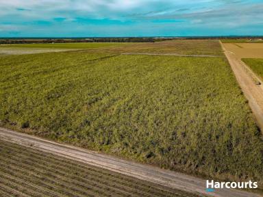 Cropping For Sale - QLD - Meadowvale - 4670 - 177 ACRE CULTIVATED FARM - 239 Mg Water Allocation  (Image 2)
