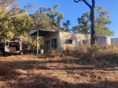 Lifestyle Sold - QLD - Bambaroo - 4850 - RURAL ACREAGE WITH SHED & RAINWATER TANK BETWEEN INGHAM & TOWNSVILLE!  (Image 2)