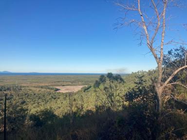 Lifestyle Sold - QLD - Bambaroo - 4850 - RURAL ACREAGE WITH SHED & RAINWATER TANK BETWEEN INGHAM & TOWNSVILLE!  (Image 2)
