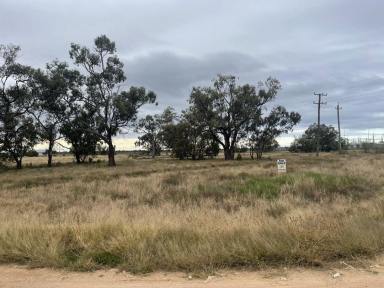 Acreage/Semi-rural For Sale - NSW - Walgett - 2832 - Vacant Land close to town  (Image 2)