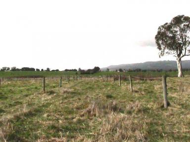 Livestock For Sale - VIC - Yinnar - 3869 - 30 ACRES FARMLAND - WITH AGISTMENT BUSINESS-INVESTMENT OPPORTUNITY  (Image 2)