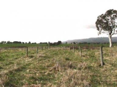 Livestock For Sale - VIC - Yinnar - 3869 - PRICE REDUCED!! 30 ACRES FARMLAND!!  (Image 2)