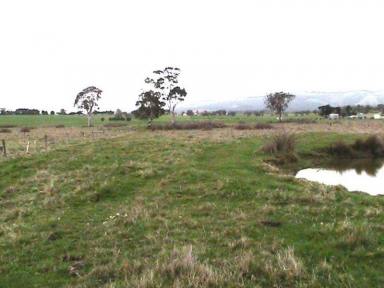 Livestock For Sale - VIC - Yinnar - 3869 - 30 ACRES FARMLAND - WITH AGISTMENT BUSINES-INVESTMENT OPPORTUNITY  (Image 2)