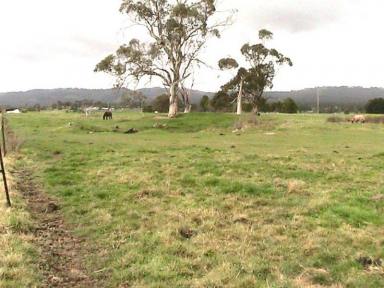 Livestock For Sale - VIC - Yinnar - 3869 - 30 ACRES FARMLAND - WITH AGISTMENT BUSINES-INVESTMENT OPPORTUNITY  (Image 2)