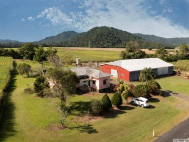 Cropping For Sale - QLD - Japoonvale - 4856 - FARMING & LIFESTYLE OPPORTUNITY  (Image 2)