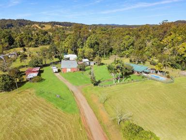 Acreage/Semi-rural Sold - QLD - Eumundi - 4562 - WHAT WILL YOU PAY????, OFFERS CONSIDERED  (Image 2)