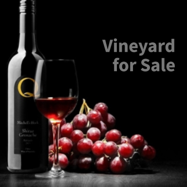 Viticulture For Sale - SA - Aldinga - 5173 - Large Scale Vineyard on 4 Titles  (Image 2)